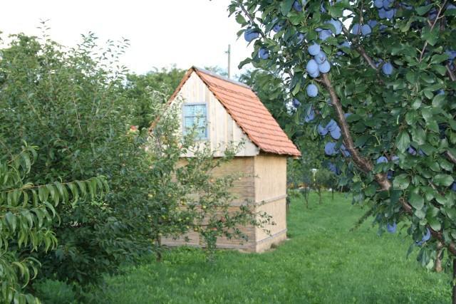 Seoski Turiziam Larva Trenkovo Bagian luar foto