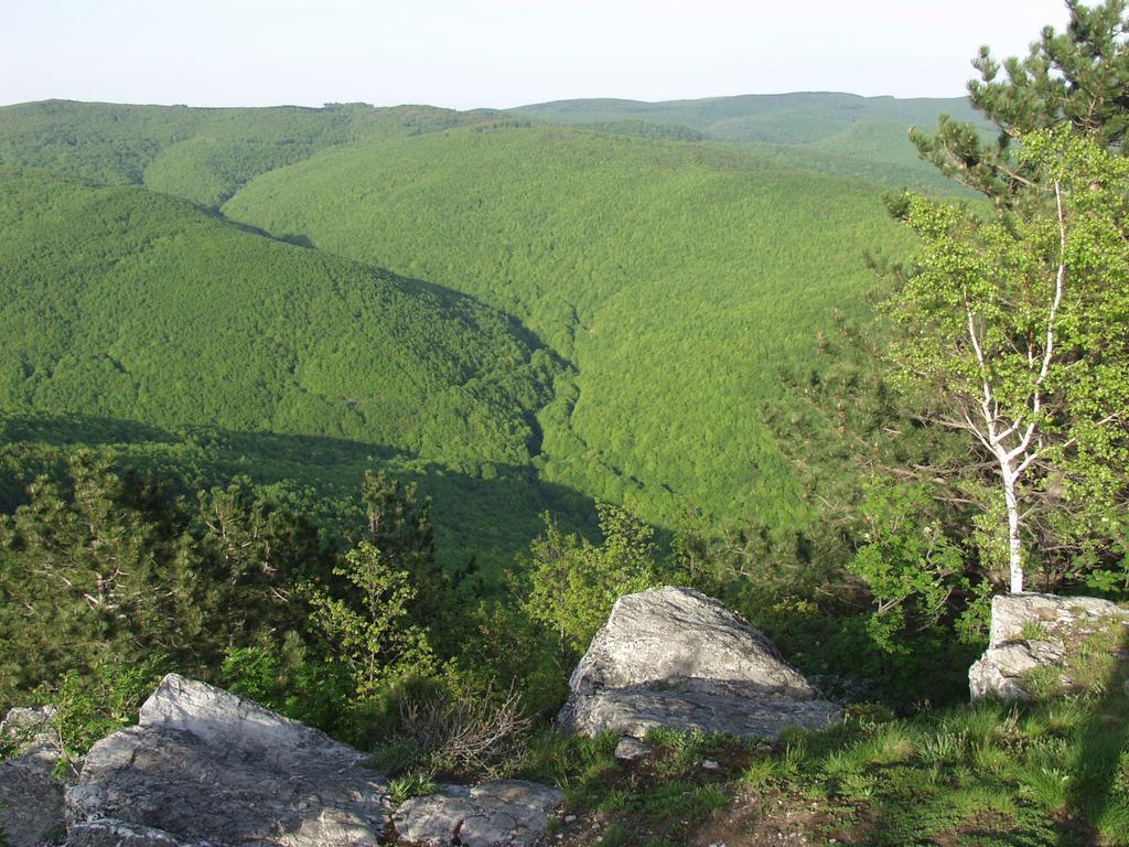Seoski Turiziam Larva Trenkovo Bagian luar foto